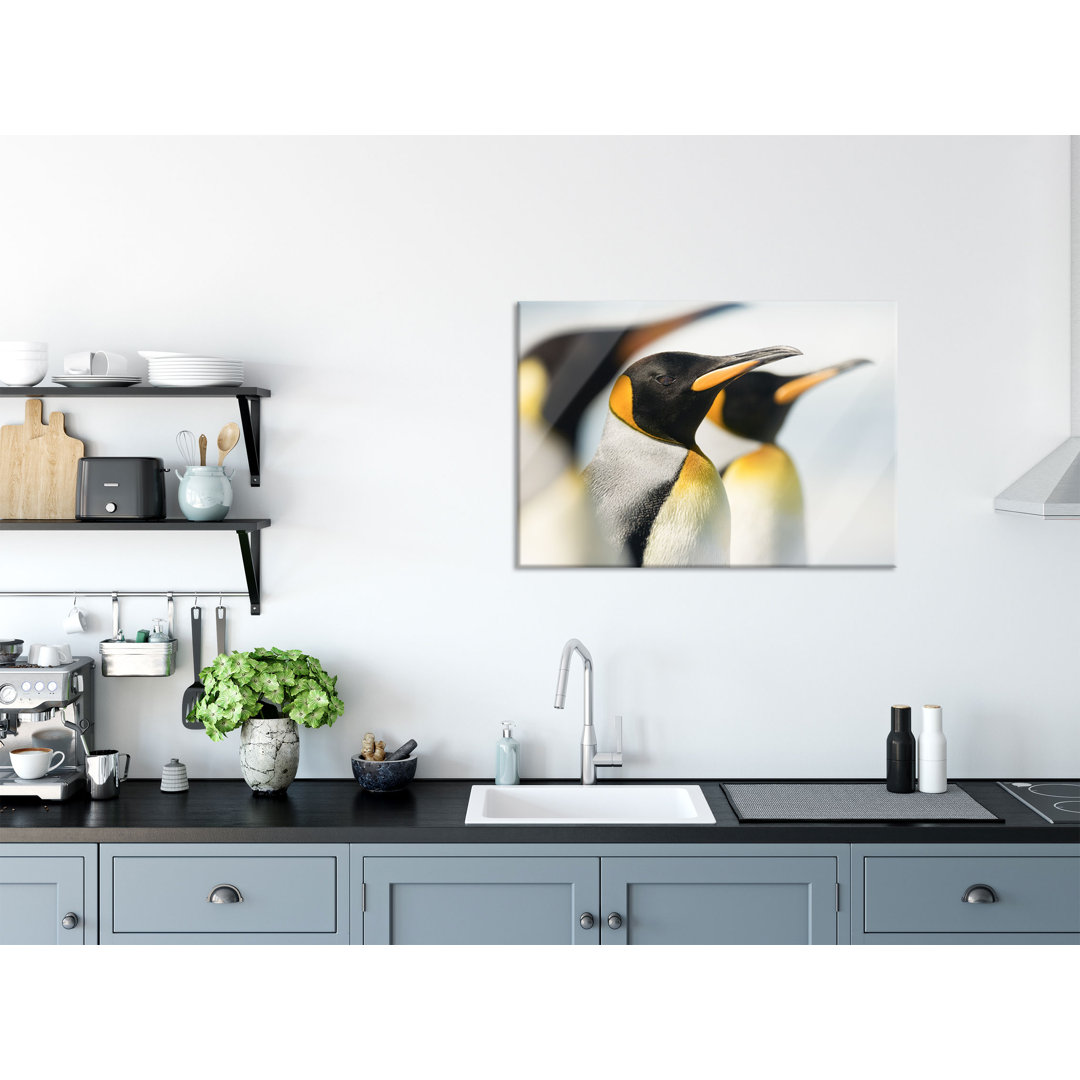 Glasbild Wandbild Auf Echtglas Pinguine Inkl. Aufhängung Und Abstandshalter LFs2628