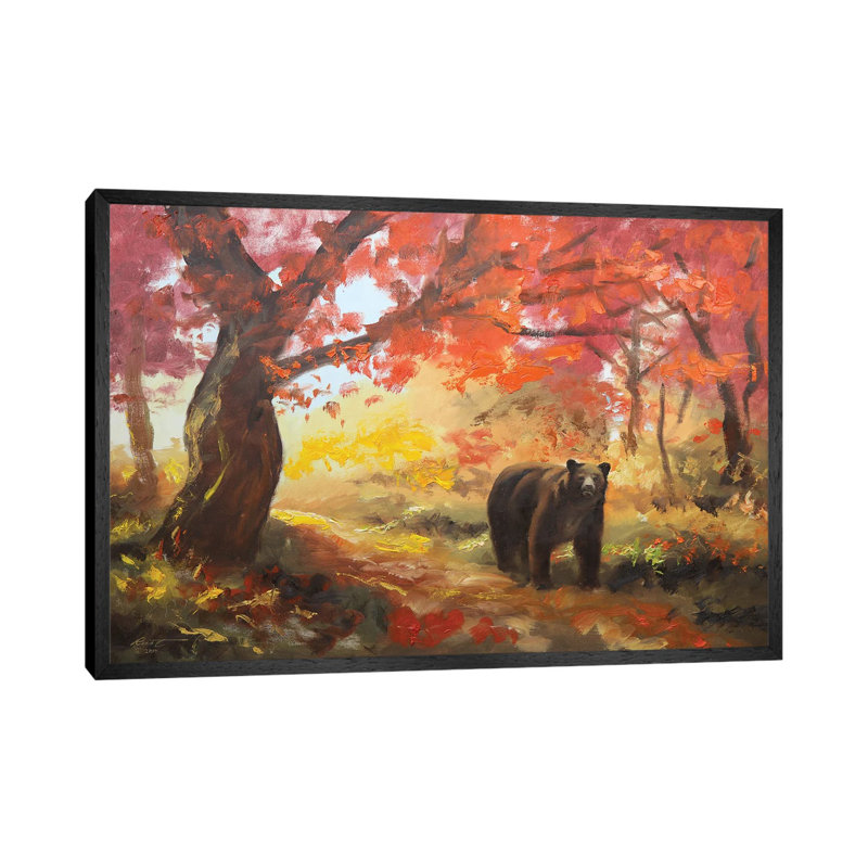 Bear, Black