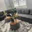 Customer photo 1 of 5