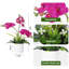 Fleurs artificielles artificielles avec vase pour centres de table-125533954