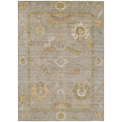 Machine Washable Indoor/Outdoor Kaczor ACN2229 Global Rug