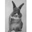 " Funny Grey Rabbit " on Canvas-1756306415-1756306413