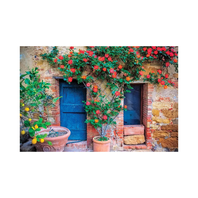 Italie, Val d'Orcia. «Two Doors with Plantation» par Jaynes Gallery - photographie sur toile tendue
