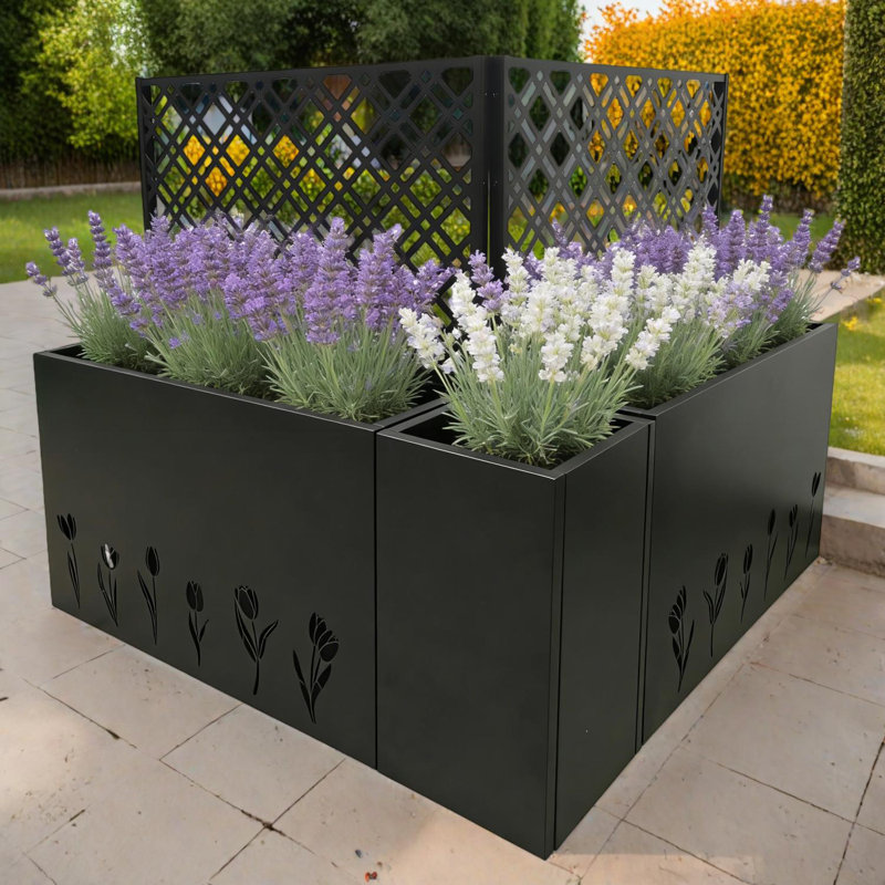 Jardinière en métal avec treillis - ensemble de jardin surélevé et écran d'intimité, ensemble de 3