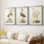 Antique Heron I - reproduction sur mesure encadrée de qualité supérieure - 3 pièces-339623385-339623388