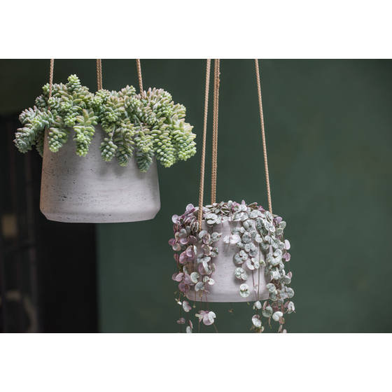 Gray Fiberstone Hanging Pot, Gray, 6" W x 6" D x 6" H