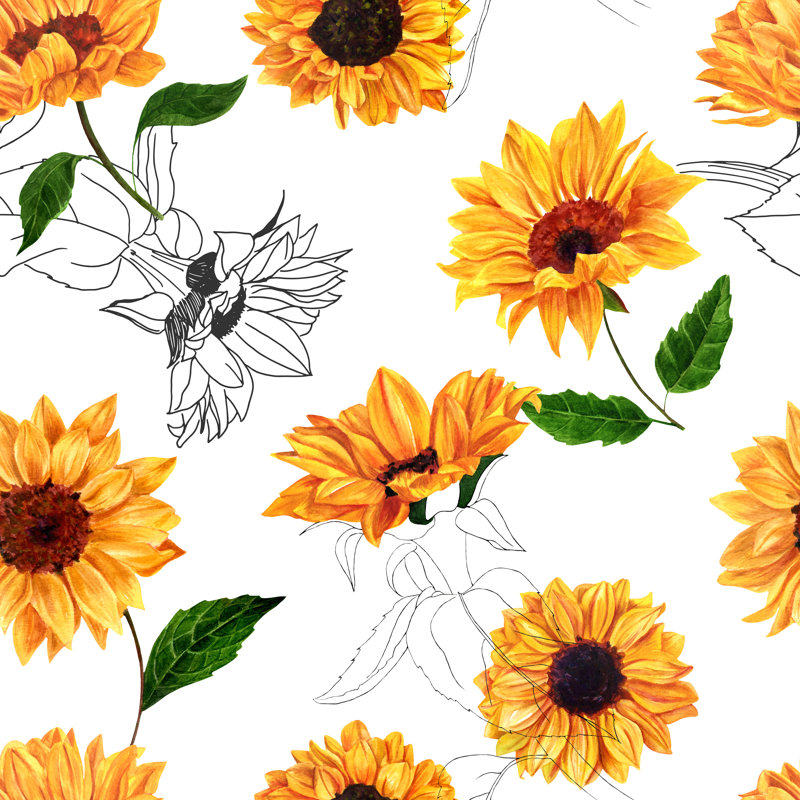 Hand Drawn Sunflowers by Plateresca - Wrapped Canvas Painting, 30cm H x 30cm W