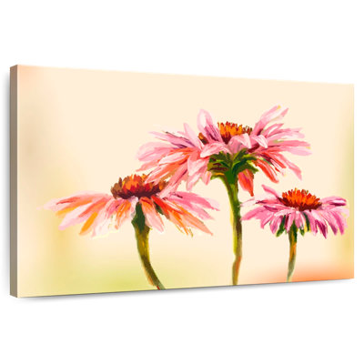 Intricate Echinacea Flowers