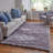 Planas Hand Tufted Indoor Rug-2137641923