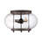 Goole 3 - Bulb Outdoor Flush Mount