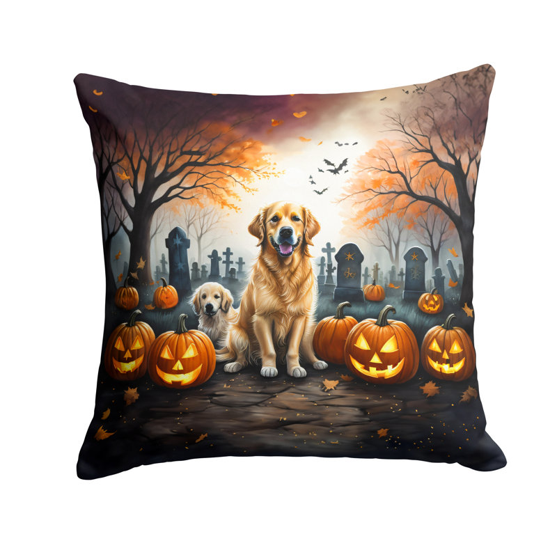  Coussin décoratif intérieur / extérieur en polyester Autre / Sans motif, 18 po x 18 po
