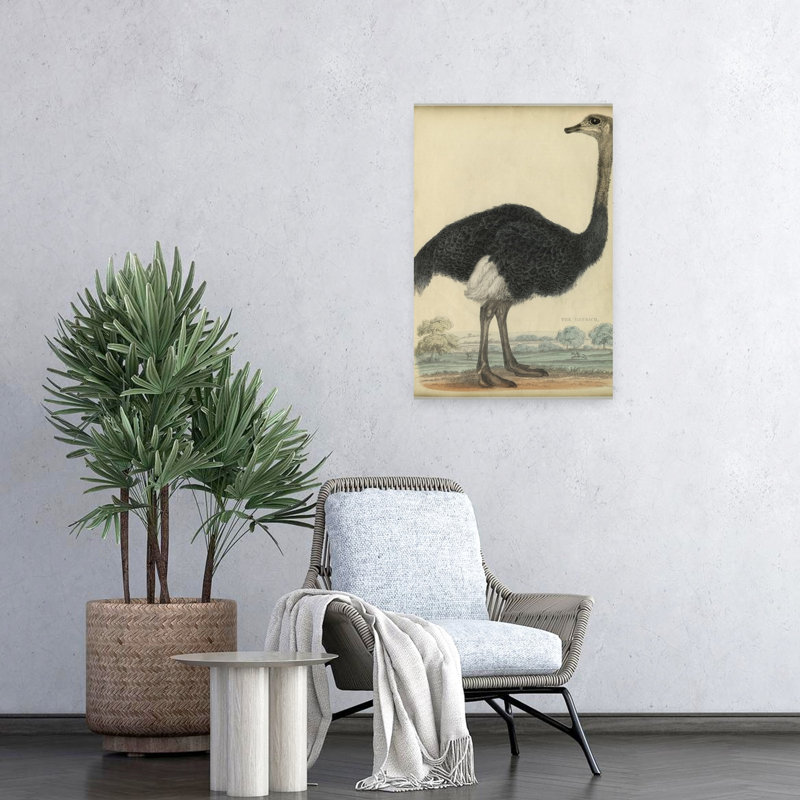 Autruche, reproduction sur demande, art abstrait de la vie sauvage de la forêt, H 24 po x l 16 po