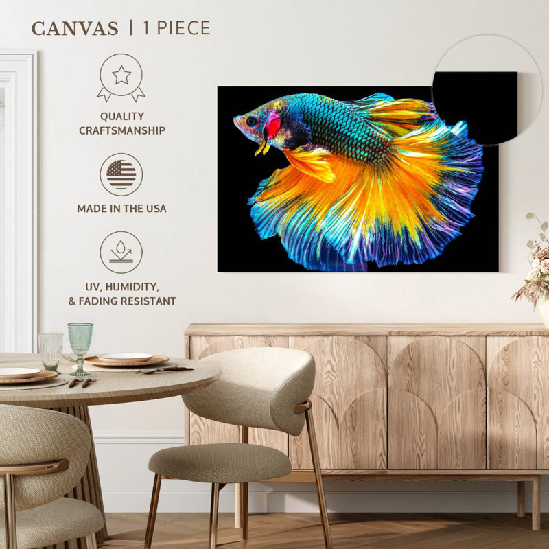 Poisson Betta Brampt multicolore, H 32 po x l 48 po
