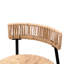 Woven Bar Stools with Back Set of 2-390846829