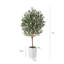 Adcock Artificial Olive Tree with Decorative Pot, UV Resistant Faux Olive Tree with Natural Trunk-700034061-700034060