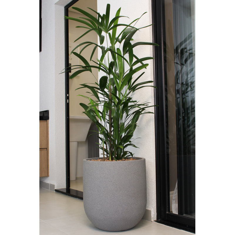 Pot Planter, 13" H x 11" W x 11" D