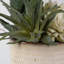 Ensemble de 2 plantes artificielles en pot