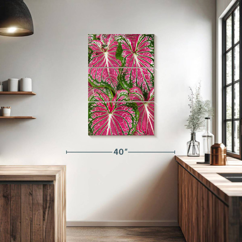 Feuilles Harnek Caladium, H 38 po x l 24 po
