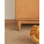 Armoire de rangement à chaussures multicouches