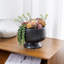 Artificial Plant