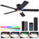 52" Ceiling Fan with Light Kit and Remote Control