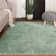 Youssouf Performance Indoor Rug