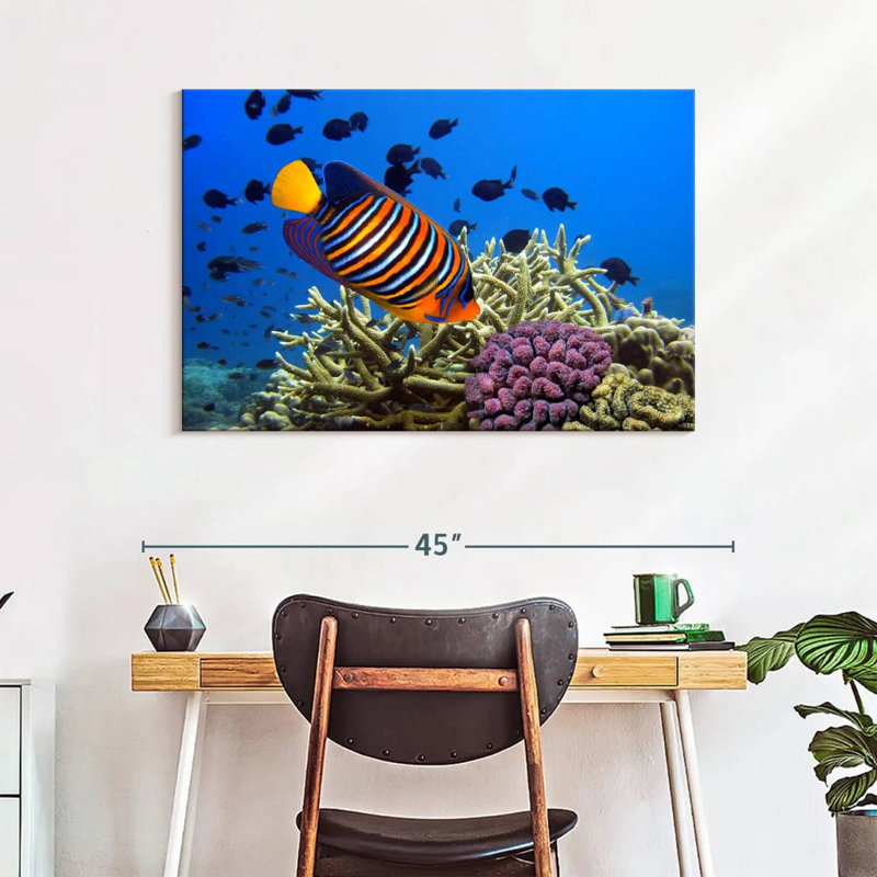 Brampt Royal Angelfish, 26" H x 39" W