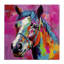 Art moderne sur toile cheval moderne par Irena Orlov-654911989