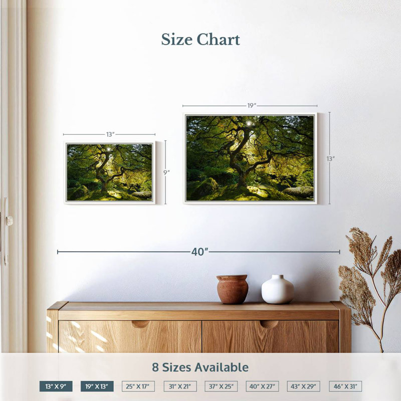 Jardin d'érable japonais, Cadre flottant blanc, 19 po x 13 po