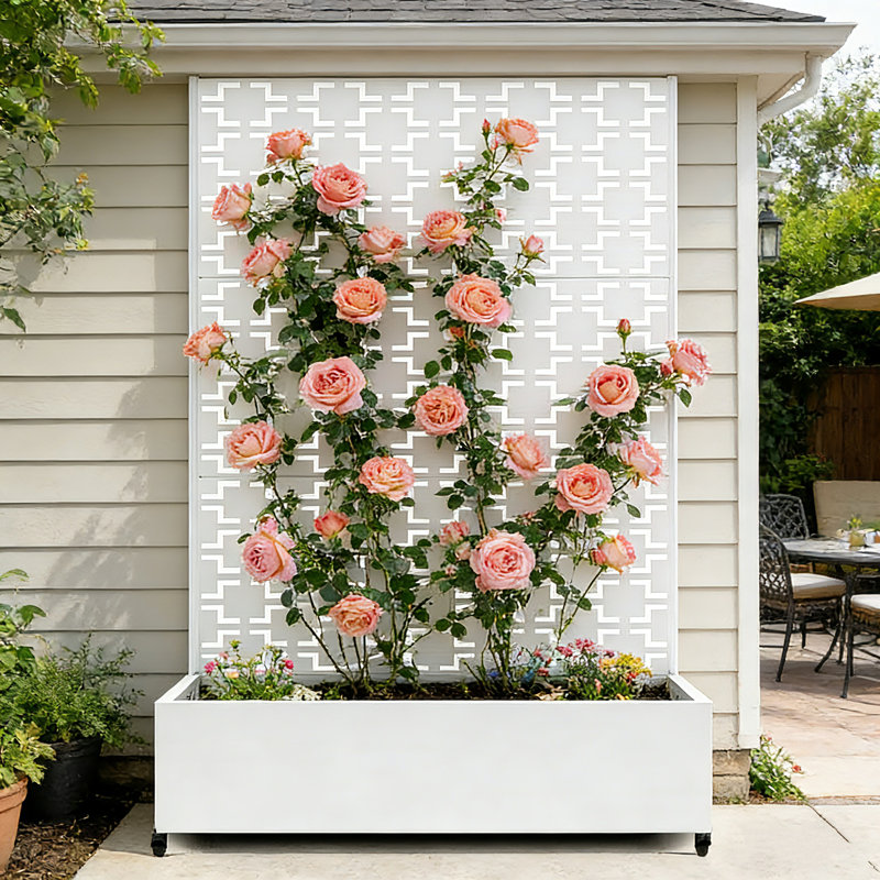 Modern Look Metal Planter Wall with Trellis, Outdoor Elevated Garden Bed with Drainage & Lockable Wheels, PLanter Pot Perfect for Climbing Plants, Vegetables, and Roses – Designed for Gardening Enthusiasts