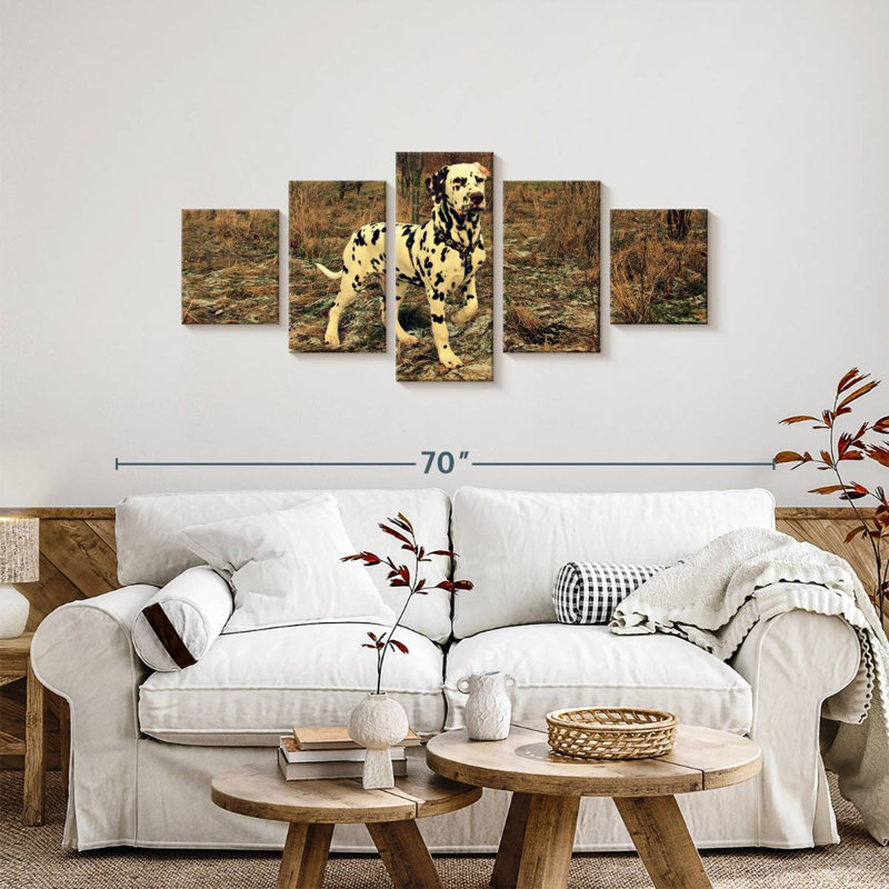 Glorieux dalmatien, H 24 po x l 55 po