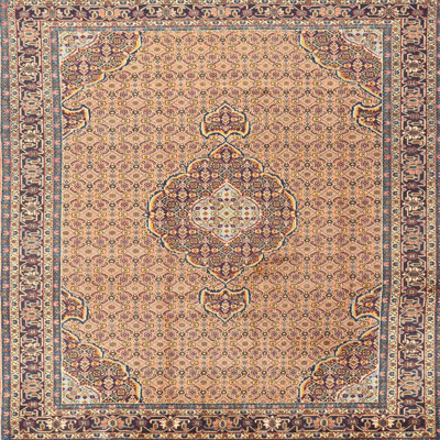 Abi Oriental Indoor Rug