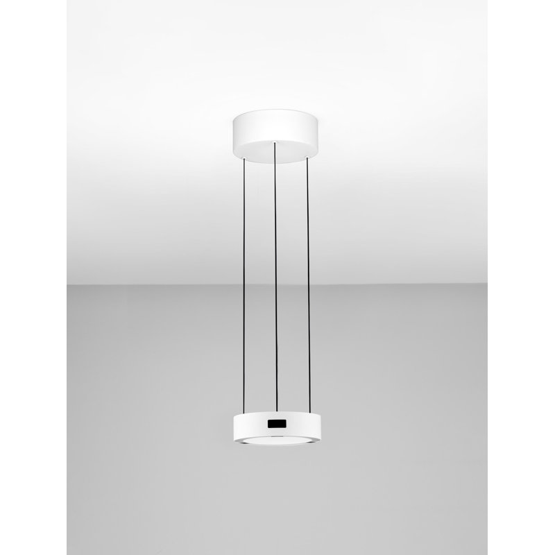 - Light Pendant