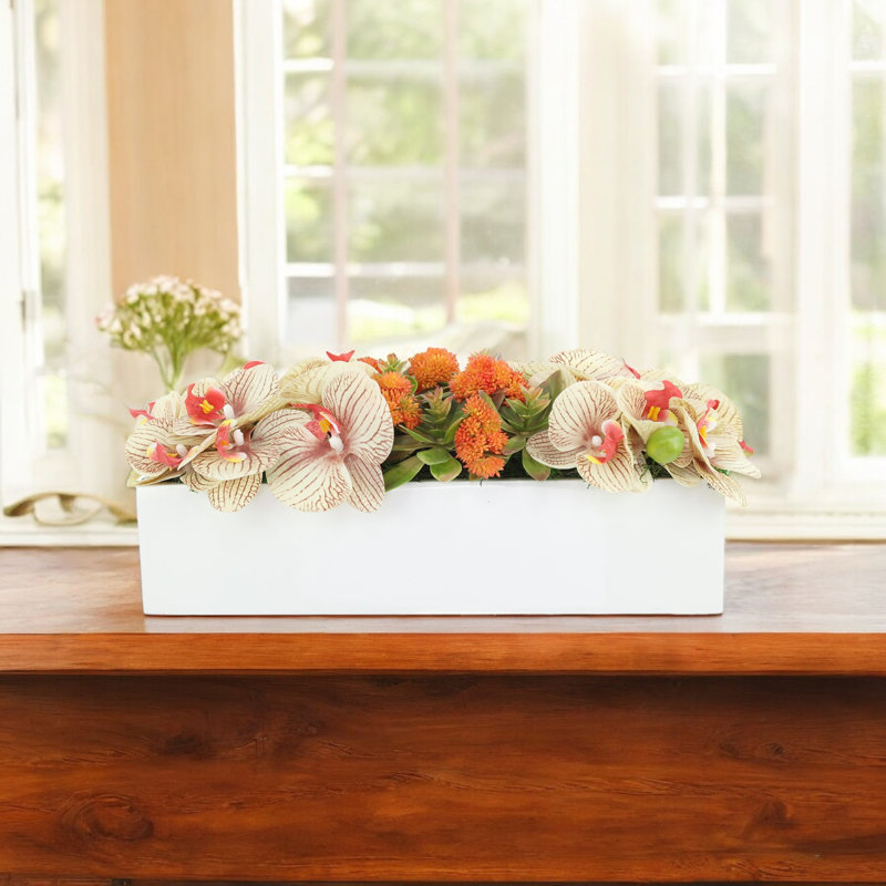Orchid and Sedum Arranged in Fiberstone Planter, Orange, 7.5" H x 18.5" W x 9" D