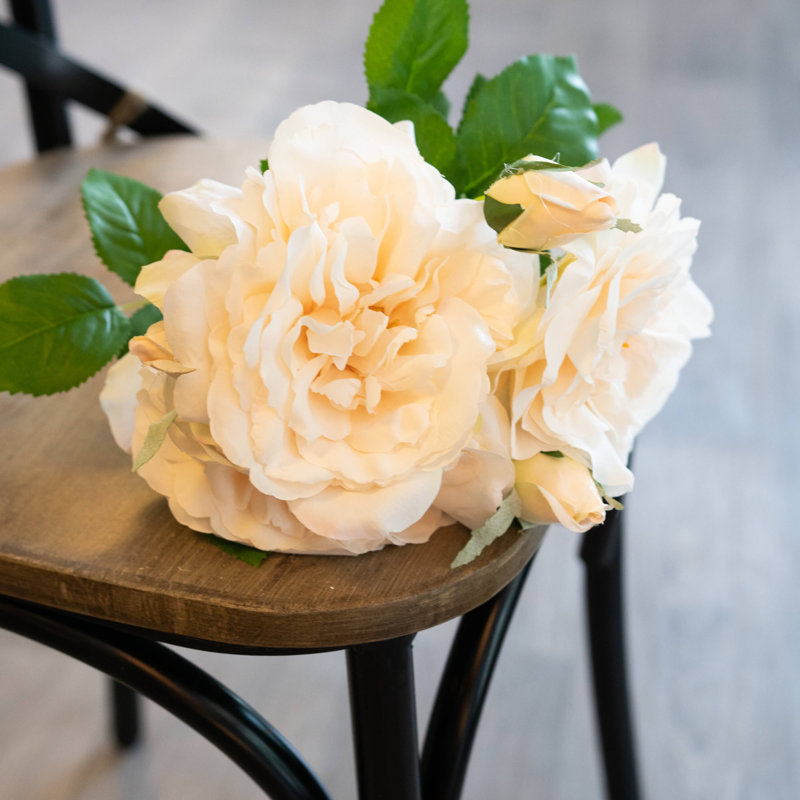 Anastasija Arrangement