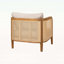 Outdoor Patio Cushioned Arm Chair