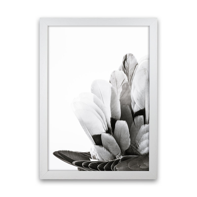 Feathers by Victoria Frost - Print, 34cm H x 25cm W x 3cm D, White Framed