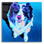 "Aussie - Kokanee" par Dawg Painter-1530808474