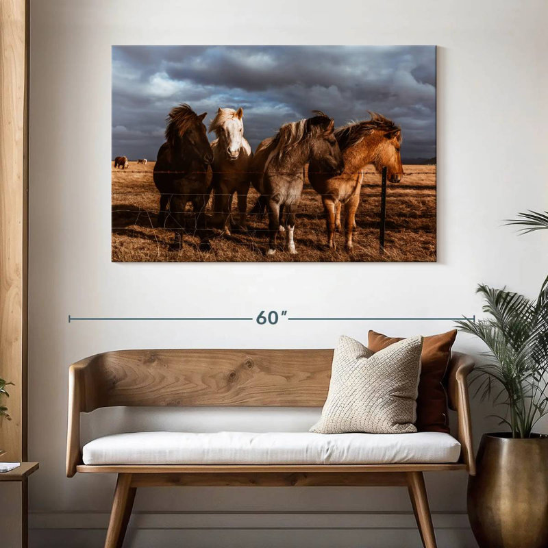 Brampt Iceland Pony, 32" H x 48" W