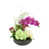 Green;Purple;Pink;White n'est pas disponible