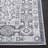 Gracie-Lou Performance Oriental Rug-1513376863