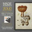 «Mushroom Variétés I», ensemble de 4 encadrées-434044224-434044227