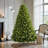 6FT  Prelit Artificial Christmas Tree-129357762-129357765