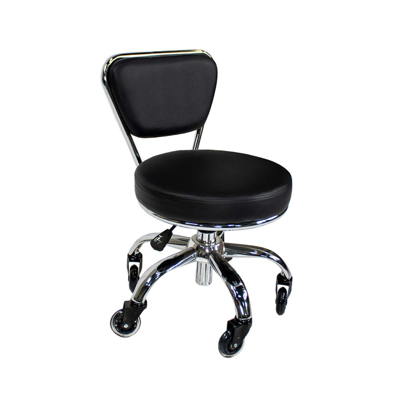 Dinjar Backed Adjustable Height Ergonomic Lab Stool