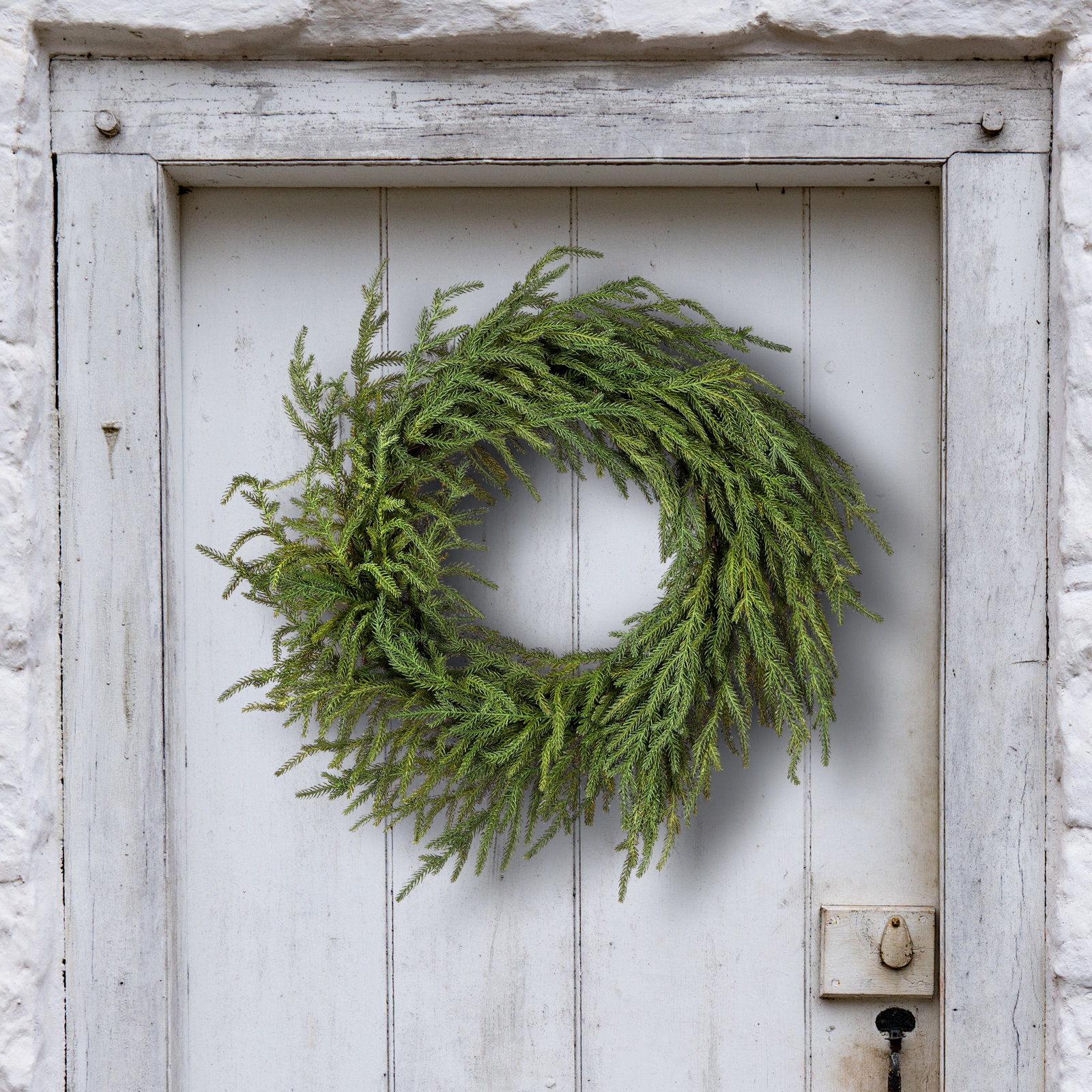 Norfolk Just Cut 24" Wreath