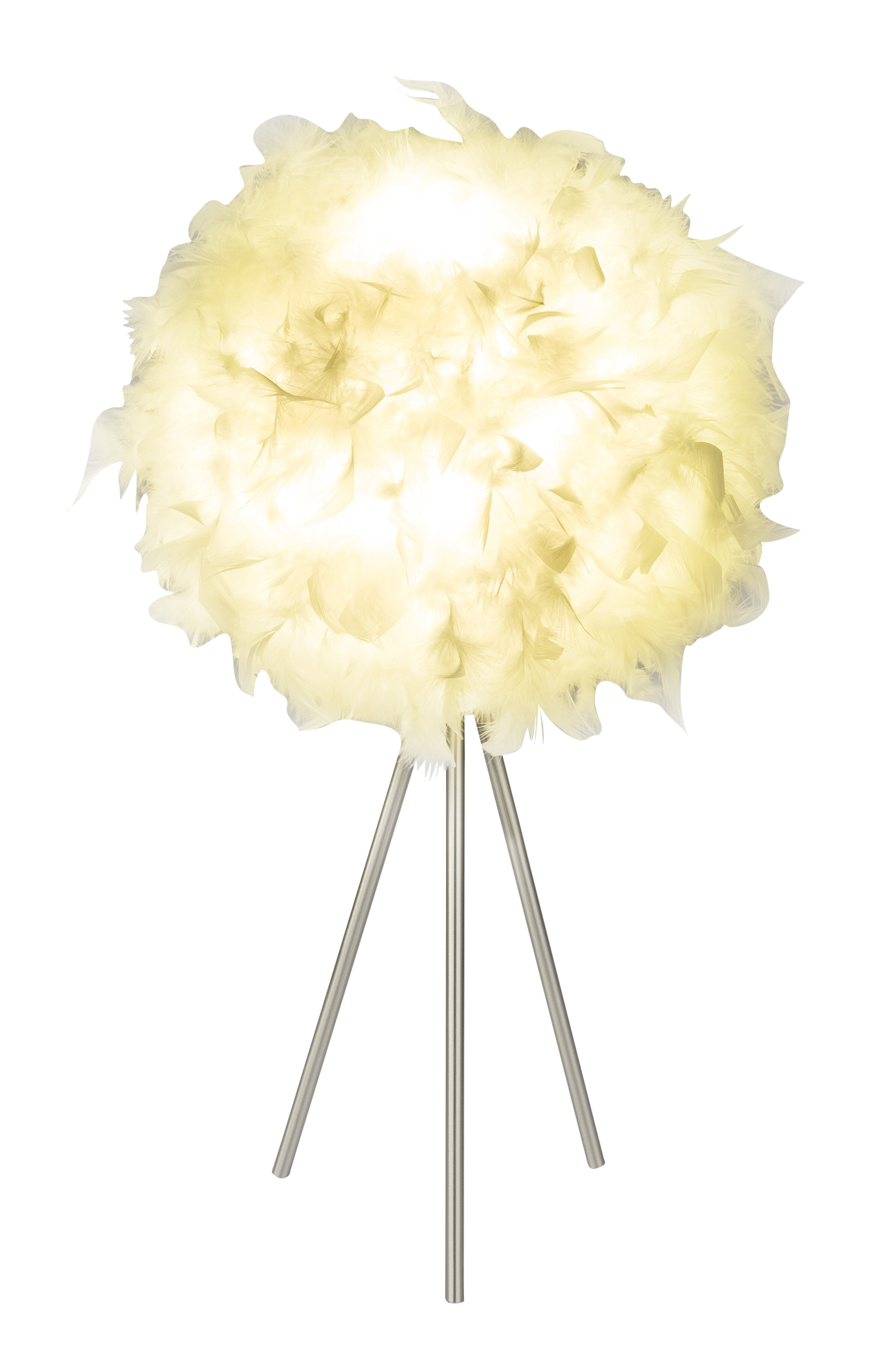 Wayfair deals feather lamp