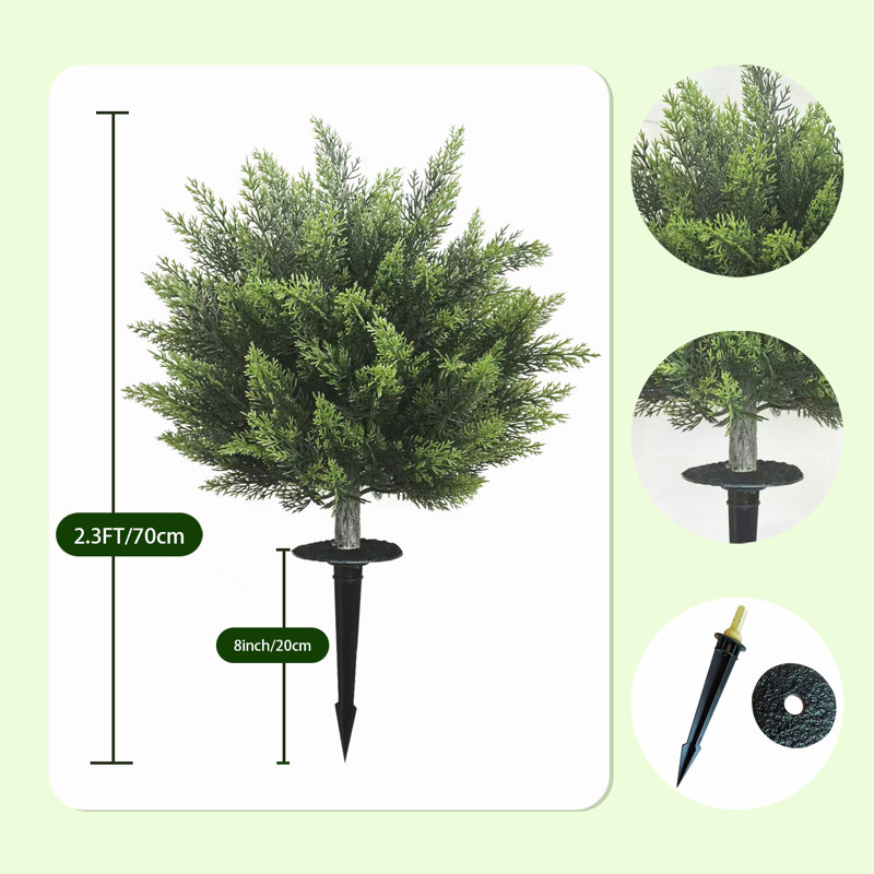 Plant