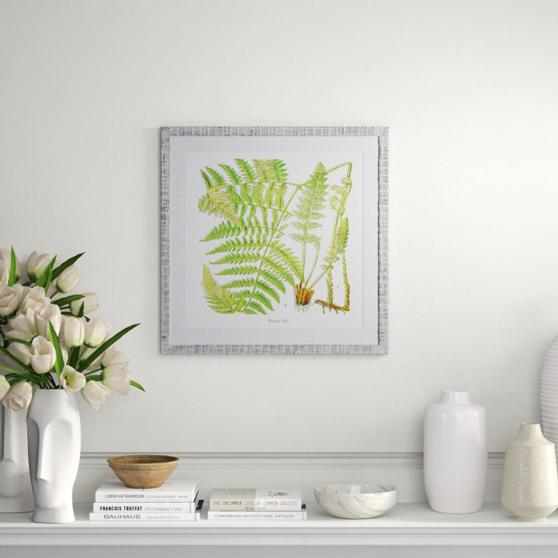 Brilliant Fern I Print