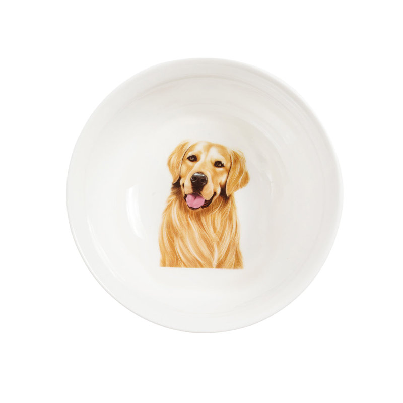 Bol en porcelaine - Golden Retriever