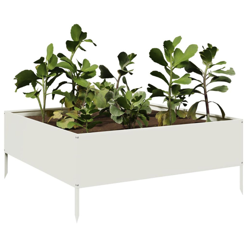 Caylub Metal Raised Garden Bed, 25cm H x 100cm W x 100cm D, White